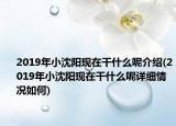 2019年小沈陽(yáng)現(xiàn)在干什么呢介紹(2019年小沈陽(yáng)現(xiàn)在干什么呢詳細(xì)情況如何)