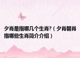 夕肖是指哪幾個(gè)生肖?（夕肖朝肖指哪些生肖簡介介紹）