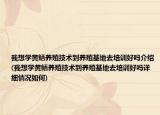 我想學黃鱔養(yǎng)殖技術(shù)到養(yǎng)殖基地去培訓好嗎介紹(我想學黃鱔養(yǎng)殖技術(shù)到養(yǎng)殖基地去培訓好嗎詳細情況如何)