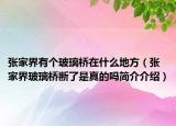 張家界有個(gè)玻璃橋在什么地方（張家界玻璃橋斷了是真的嗎簡(jiǎn)介介紹）