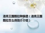 洛克王國酷拉種族值（洛克王國酷拉怎么得簡介介紹）