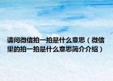 請(qǐng)問(wèn)微信拍一拍是什么意思（微信里的拍一拍是什么意思簡(jiǎn)介介紹）