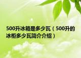 500升冰箱是多少瓦（500升的冰柜多少瓦簡介介紹）