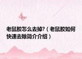老鼠膠怎么去掉?（老鼠膠如何快速去除簡(jiǎn)介介紹）