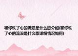 和你鐵了心的流浪是什么歌介紹(和你鐵了心的流浪是什么歌詳細情況如何)