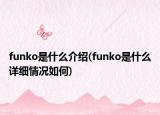 funko是什么介紹(funko是什么詳細情況如何)