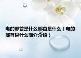電的部首是什么部首是什么（電的部首是什么簡(jiǎn)介介紹）