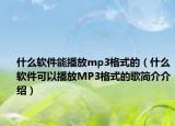 什么軟件能播放mp3格式的（什么軟件可以播放MP3格式的歌簡(jiǎn)介介紹）