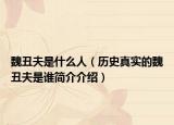 魏丑夫是什么人（歷史真實的魏丑夫是誰簡介介紹）
