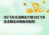 QQ飛車合法網(wǎng)名介紹(QQ飛車合法網(wǎng)名詳細情況如何)
