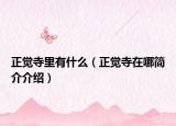 正覺寺里有什么（正覺寺在哪簡(jiǎn)介介紹）
