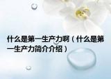 什么是第一生產(chǎn)力?。ㄊ裁词堑谝簧a(chǎn)力簡(jiǎn)介介紹）