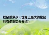 松鼠重多少（世界上最大的松鼠約有多重簡介介紹）