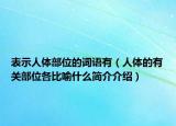 表示人體部位的詞語有（人體的有關(guān)部位各比喻什么簡介介紹）