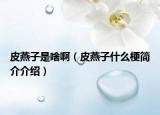 皮燕子是啥?。ㄆぱ嘧邮裁垂：喗榻榻B）