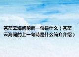 蒼茫云海間前面一句是什么（蒼茫云海間的上一句詩是什么簡介介紹）