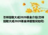 怎樣提取大成2020基金介紹(怎樣提取大成2020基金詳細情況如何)