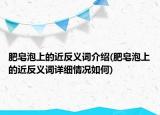 肥皂泡上的近反義詞介紹(肥皂泡上的近反義詞詳細(xì)情況如何)