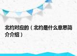 北約對(duì)應(yīng)的（北約是什么意思簡(jiǎn)介介紹）