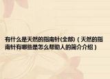 有什么是天然的指南針(全部)（天然的指南針有哪些是怎么幫助人的簡(jiǎn)介介紹）