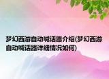 夢幻西游自動喊話器介紹(夢幻西游自動喊話器詳細情況如何)