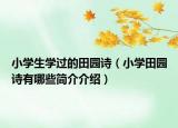 小學生學過的田園詩（小學田園詩有哪些簡介介紹）
