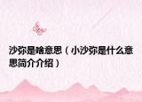 沙彌是啥意思（小沙彌是什么意思簡(jiǎn)介介紹）