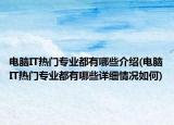 電腦IT熱門(mén)專(zhuān)業(yè)都有哪些介紹(電腦IT熱門(mén)專(zhuān)業(yè)都有哪些詳細(xì)情況如何)