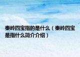 秦嶺四寶指的是什么（秦嶺四寶是指什么簡介介紹）