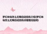 夢幻誅仙怎么無限自動掛機介紹(夢幻誅仙怎么無限自動掛機詳細情況如何)