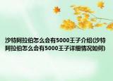 沙特阿拉伯怎么會(huì)有5000王子介紹(沙特阿拉伯怎么會(huì)有5000王子詳細(xì)情況如何)