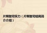 片桐智司實力（片桐智司結局簡介介紹）
