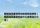 朝碧海而暮蒼梧中的蒼梧是哪里（朝碧海而暮蒼梧是什么意思簡介介紹）