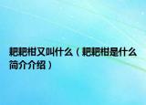 耙耙柑又叫什么（耙耙柑是什么簡介介紹）