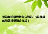 標(biāo)記和弦級級數(shù)怎么標(biāo)記（v是幾級的和弦標(biāo)記簡介介紹）