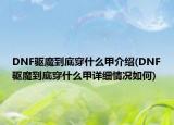 DNF驅(qū)魔到底穿什么甲介紹(DNF驅(qū)魔到底穿什么甲詳細(xì)情況如何)