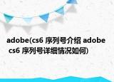 adobe(cs6 序列號(hào)介紹 adobe  cs6 序列號(hào)詳細(xì)情況如何)