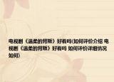 電視劇《溫柔的背叛》好看嗎(如何評價介紹 電視劇《溫柔的背叛》好看嗎 如何評價詳細情況如何)