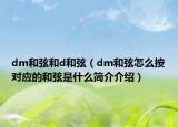 dm和弦和d和弦（dm和弦怎么按對(duì)應(yīng)的和弦是什么簡(jiǎn)介介紹）