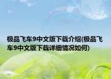 極品飛車9中文版下載介紹(極品飛車9中文版下載詳細(xì)情況如何)