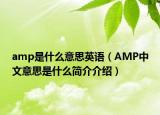 amp是什么意思英語（AMP中文意思是什么簡(jiǎn)介介紹）