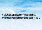 廣東省東山市塔寨村現(xiàn)在叫什么（廣東東山市塔寨村在哪里簡介介紹）