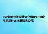 PSP神奇電池是什么介紹(PSP神奇電池是什么詳細情況如何)