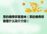 重的偏旁部首是啥（重的偏旁部首是什么簡介介紹）
