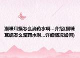 貓咪耳螨怎么滴藥水啊...介紹(貓咪耳螨怎么滴藥水啊...詳細情況如何)