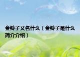 金鈴子又名什么（金鈴子是什么簡介介紹）
