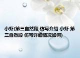 小蝦(第三自然段 仿寫(xiě)介紹 小蝦 第三自然段 仿寫(xiě)詳細(xì)情況如何)