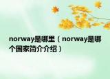 norway是哪里（norway是哪個國家簡介介紹）