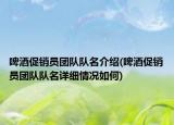啤酒促銷員團(tuán)隊(duì)隊(duì)名介紹(啤酒促銷員團(tuán)隊(duì)隊(duì)名詳細(xì)情況如何)