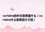 curtains的中文意思是什么（curtains什么意思簡介介紹）